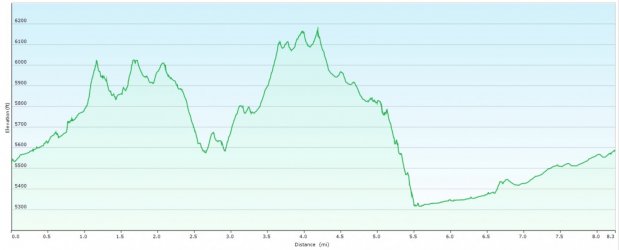 Zion East Prof 1a.jpg