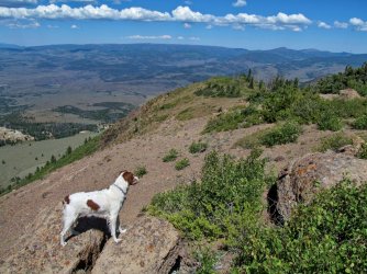 IMG_5157.jpg IMG_5157.jpg