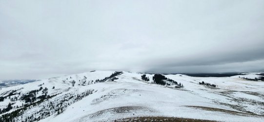 20240128_122402 (1)edit.jpg