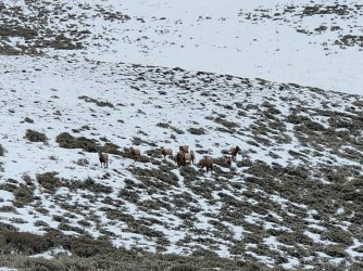 20240128_121116(0) (1)edit.jpg