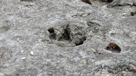 Dino Attack.jpg Dino Attack.jpg