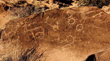 NM Panel.jpg NM Panel.jpg