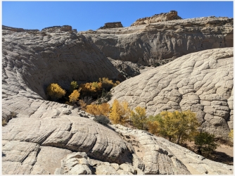 Screenshot 2024-02-08 at 12.17.13 PM.png