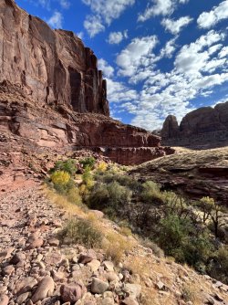 guess 2a-IMG_3087.jpg