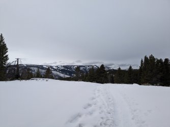 PXL_20240202_194344592.MP.jpg PXL_20240202_194344592.MP.jpg