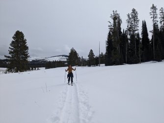 PXL_20240202_191956199.jpg PXL_20240202_191956199.jpg