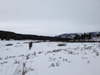 PXL_20240202_182655147.jpg PXL_20240202_182655147.jpg