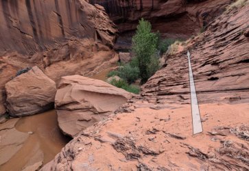 Coyote_Gulch_ledge2-800x552.jpg