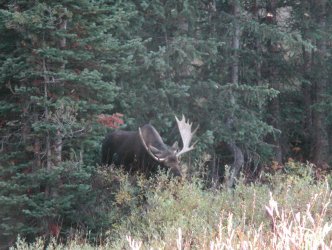 yellowstonehike 078.jpg