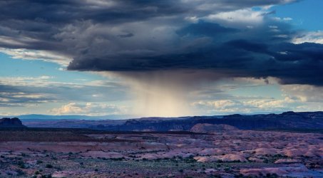 IMG_1478.jpeg IMG_1478.jpeg