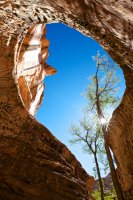 isnt-that-swell-36.jpg isnt-that-swell-36.jpg