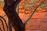 isnt-that-swell-39.jpg isnt-that-swell-39.jpg