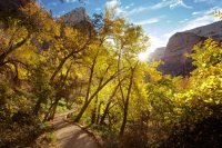 weeping-rock-trail (1).jpg