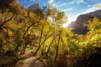 IMG_4231.jpg IMG_4231.jpg