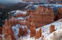 Bryce Snow Predawn.jpg Bryce Snow Predawn.jpg