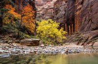 AutumnNarrowsCrop.jpg AutumnNarrowsCrop.jpg