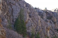 IMG_4714.jpg IMG_4714.jpg