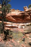 IMG_8751.jpg IMG_8751.jpg