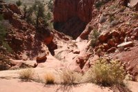 IMG_8785.jpg IMG_8785.jpg