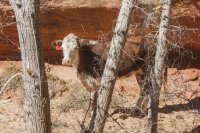 IMG_2037.jpg IMG_2037.jpg