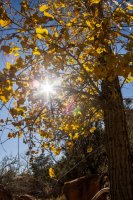 IMG_2058.jpg IMG_2058.jpg