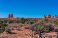 DSC01698.jpg DSC01698.jpg