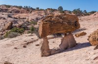 DSC01707.jpg DSC01707.jpg