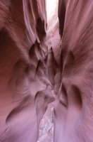 DSC01727.jpg DSC01727.jpg