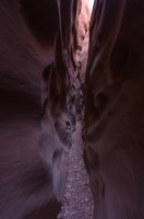 DSC01736.jpg DSC01736.jpg