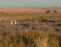 DSC01828.jpg DSC01828.jpg