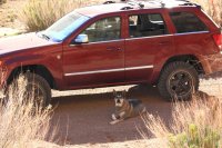 Jeep_GuardDog.JPG