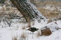 IMG_2992.jpg IMG_2992.jpg