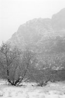 IMG_2995.jpg IMG_2995.jpg