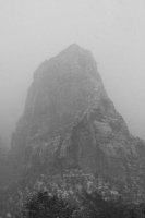 IMG_2998.jpg IMG_2998.jpg