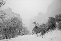 IMG_3004.jpg IMG_3004.jpg