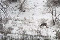 IMG_3022.jpg IMG_3022.jpg