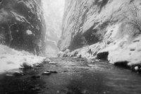 IMG_3033.jpg IMG_3033.jpg