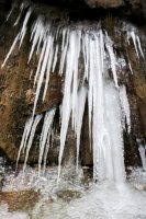 IMG_3043.jpg IMG_3043.jpg