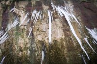 IMG_3045.jpg IMG_3045.jpg