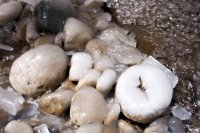 IMG_3049.jpg IMG_3049.jpg