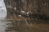 IMG_3094.jpg IMG_3094.jpg