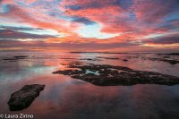 Horizontal 12.13.jpg