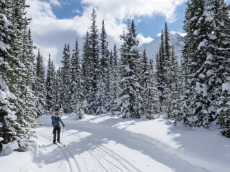 P1040111-copy3.jpg P1040111-copy3.jpg