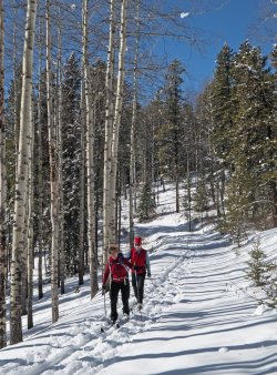 P1040080-copy-2.jpg P1040080-copy-2.jpg