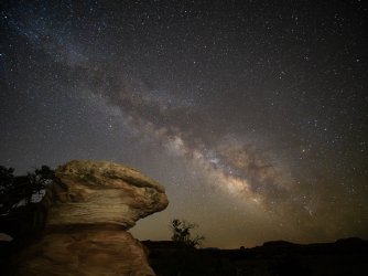 _3200994-Enhanced-NR copy.jpeg