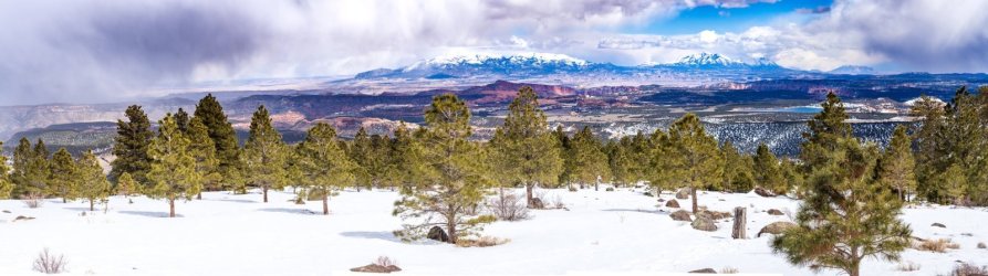 _3262249-Pano (1)_Original.jpeg