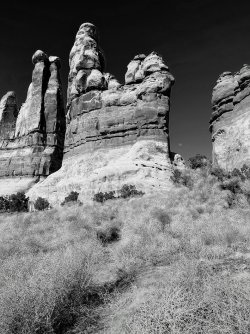 IMG_8049-EDIT.jpg IMG_8049-EDIT.jpg