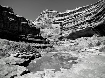 IMG_8397-EDIT.jpg IMG_8397-EDIT.jpg