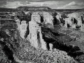 IMG_8446-EDIT.jpg IMG_8446-EDIT.jpg