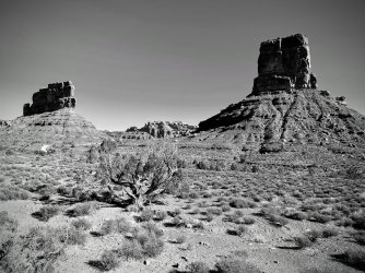 IMG_8275-EDIT.jpg IMG_8275-EDIT.jpg